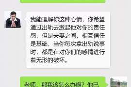 嘉陵侦探事务所,婚外情调查专业机构